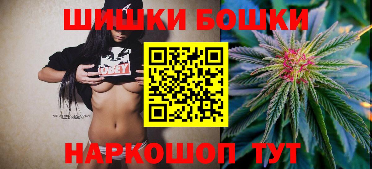 Канабис сатива Баксан